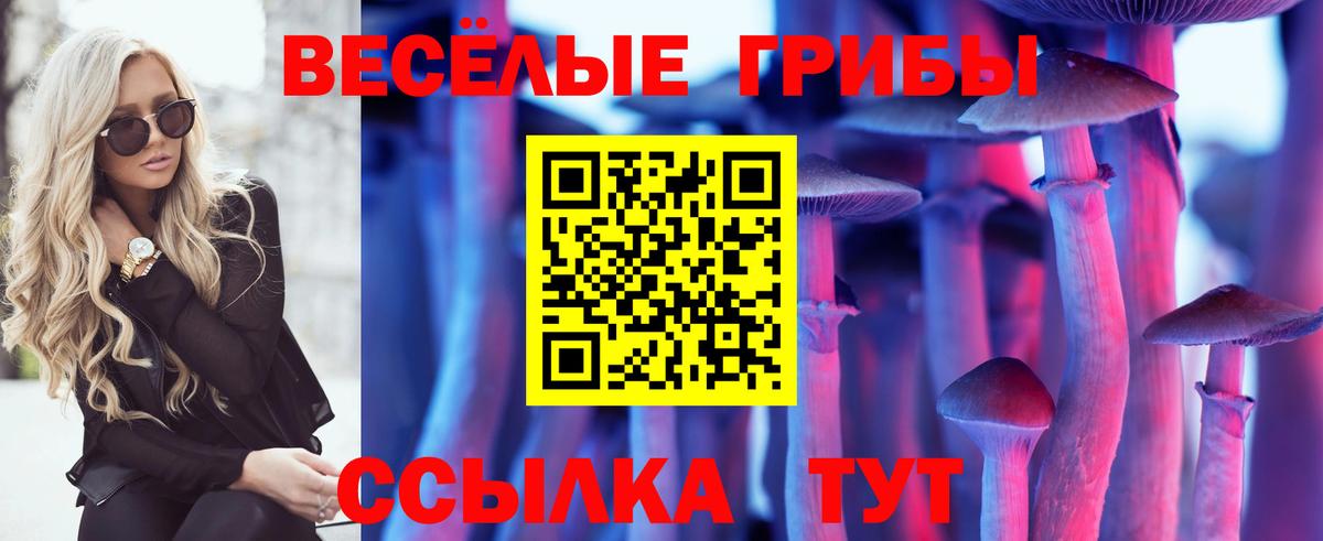 Галлюциногенные грибы GOLDEN TEACHER Кизляр
