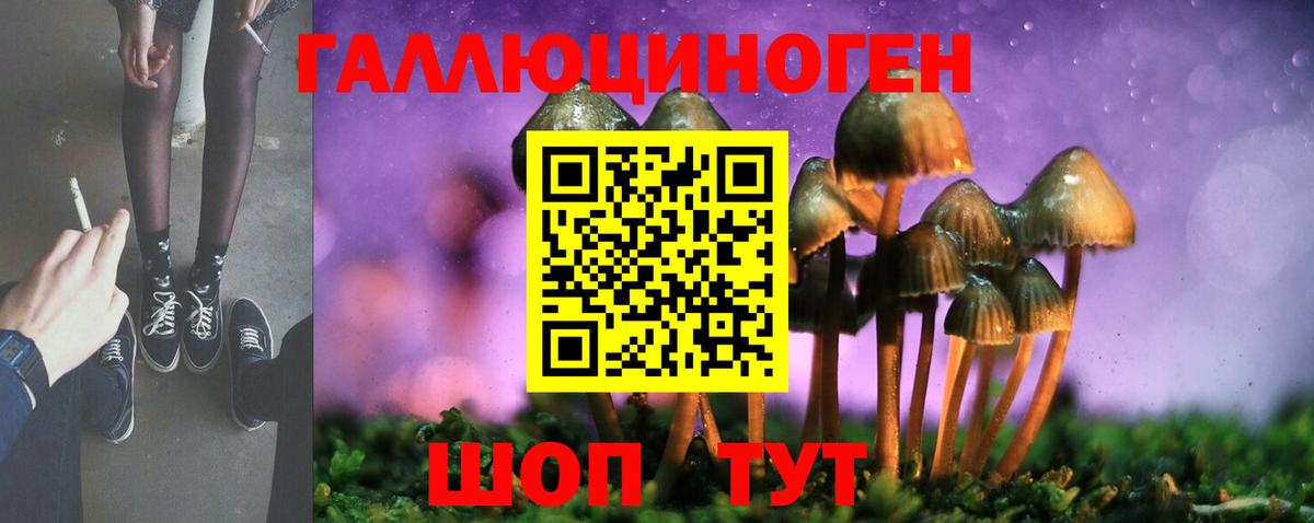 Кизляр  Галлюциногенные грибы Psilocybe  Вход с VPN 